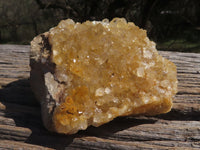 Natural Golden Limonite / Lemonite Quartz Clusters  x 12 From Mwinilunga, Zambia - TopRock