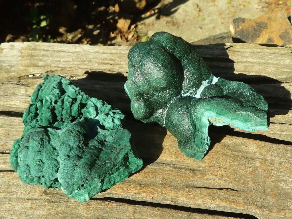 Natural Malachite Specimens x 2 From Congo - Toprock Gemstones and Minerals 