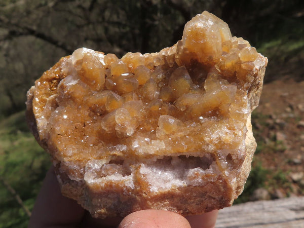 Natural Golden Limonite / Lemonite Quartz Clusters  x 12 From Mwinilunga, Zambia - TopRock