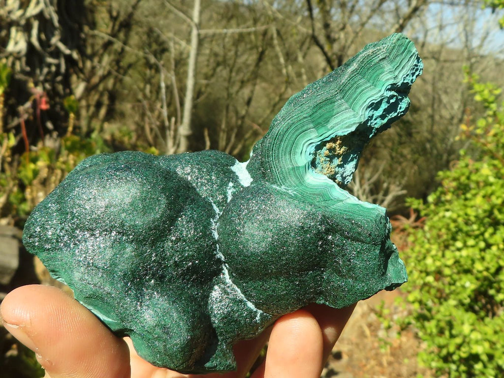 Natural Malachite Specimens x 2 From Congo - Toprock Gemstones and Minerals 