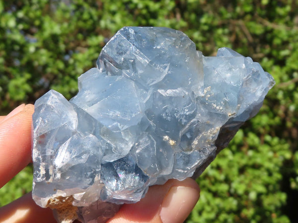 Natural Blue Celestite Crystal Specimens  x 5 From Sakoany, Madagascar