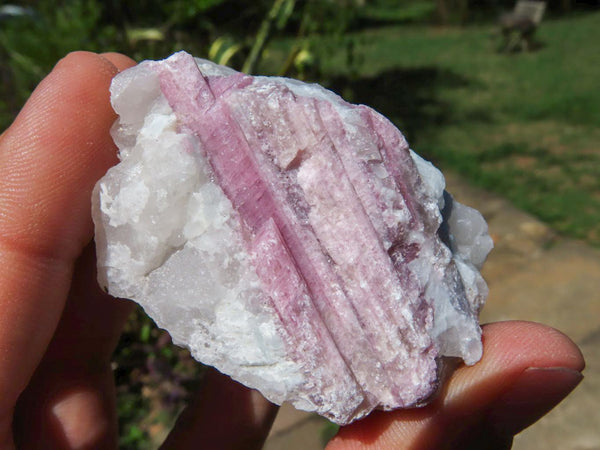 Natural Pink Tourmaline Crystals In Mica & Quartz Schist x 13 From Karibib, Namibia - TopRock