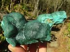 Natural Malachite Specimens x 2 From Congo - Toprock Gemstones and Minerals 