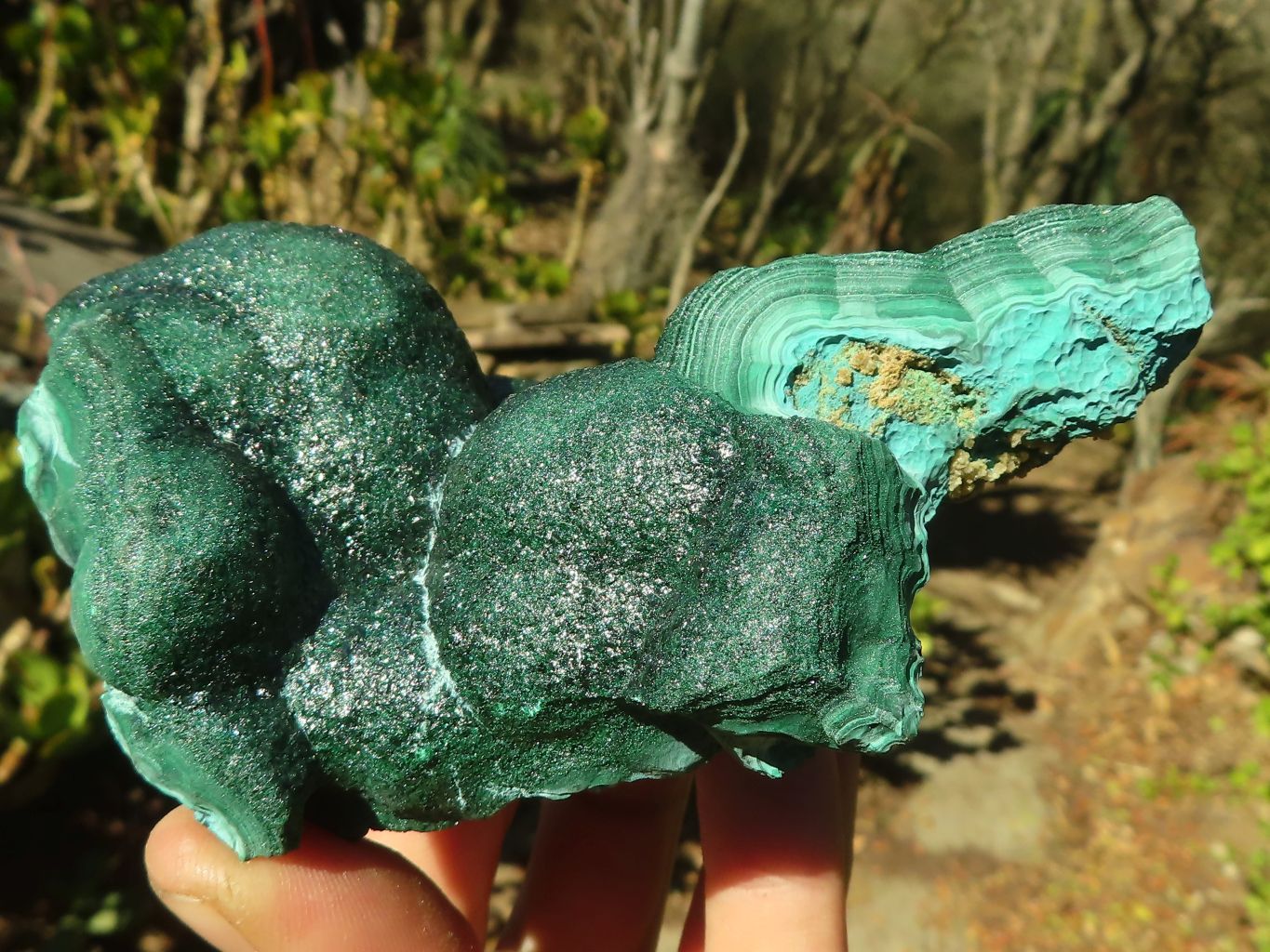Natural Malachite Specimens x 2 From Congo - Toprock Gemstones and Minerals 