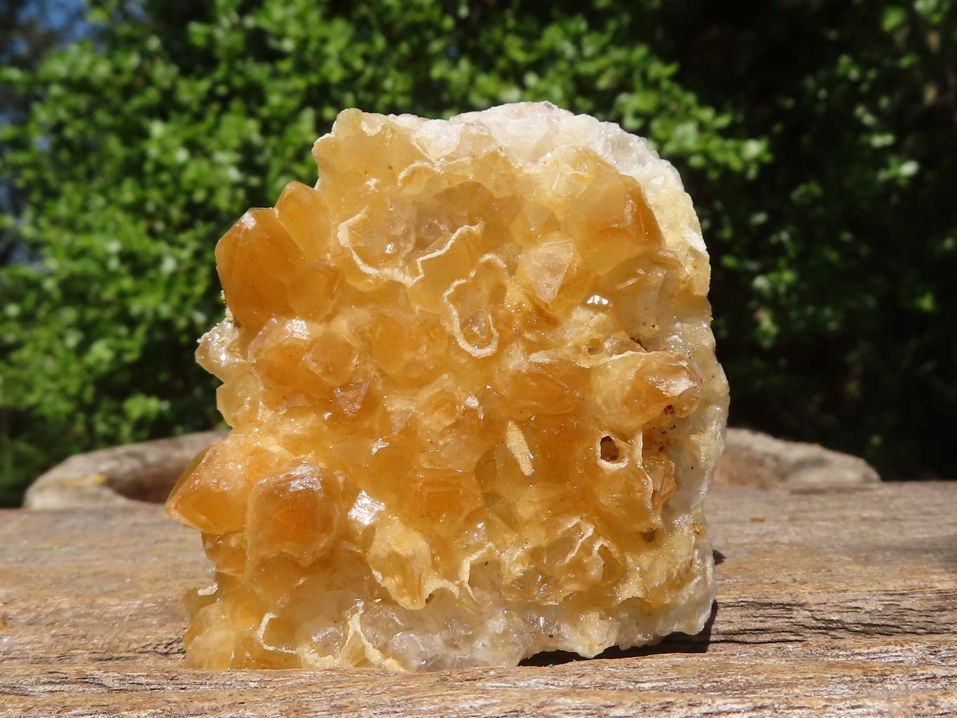 Natural Small Golden Lemonite / Limonite Quartz Clusters  x 24 From Zambia - Toprock Gemstones and Minerals 