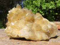Natural Small Golden Lemonite / Limonite Quartz Clusters  x 24 From Zambia - Toprock Gemstones and Minerals 