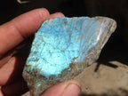 Polished One Side Polished Purple Flash Labradorite Slabs  x 12 From Tulear, Madagascar - Toprock Gemstones and Minerals 