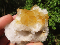 Natural Small Golden Lemonite / Limonite Quartz Clusters  x 24 From Zambia - Toprock Gemstones and Minerals 