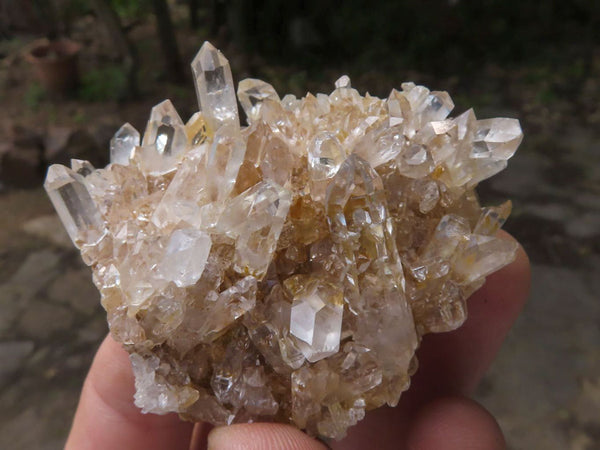 Natural Small Mixed Quartz Clusters  x 35 From Madagascar - TopRock