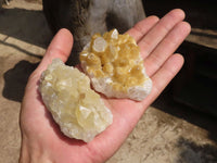Natural Small Golden Lemonite / Limonite Quartz Clusters  x 24 From Zambia - Toprock Gemstones and Minerals 