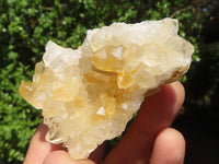 Natural Small Golden Lemonite / Limonite Quartz Clusters  x 24 From Zambia - Toprock Gemstones and Minerals 