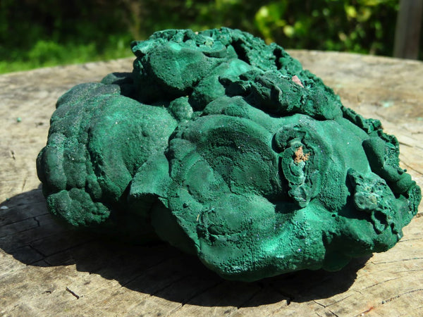 Natural Botryoidal Malachite Floater Nodule Specimen x 1 From Kolwezi, Congo - TopRock