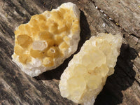 Natural Small Golden Lemonite / Limonite Quartz Clusters  x 24 From Zambia - Toprock Gemstones and Minerals 