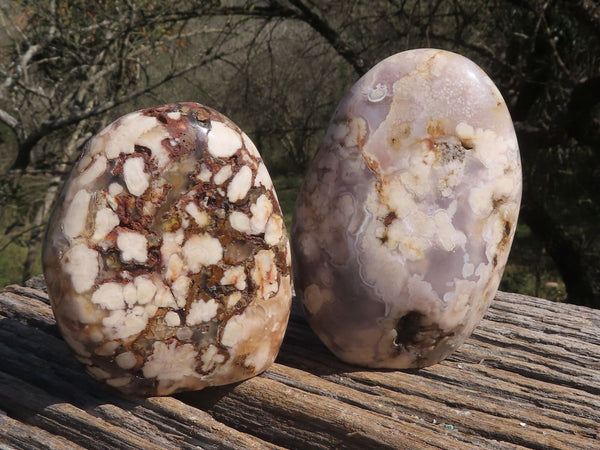 Polished Gorgeous Pair Of Coral Flower Agate Standing Free Forms  x 2 From Madagascar - TopRock
