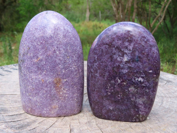 Polished Lepidolite Standing Free Forms x 2 From Madagascar - TopRock