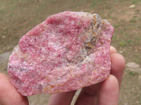 Polished One Side Polished Rhodonite Free Forms  x 4 From Ambindavato, Madagascar - TopRock