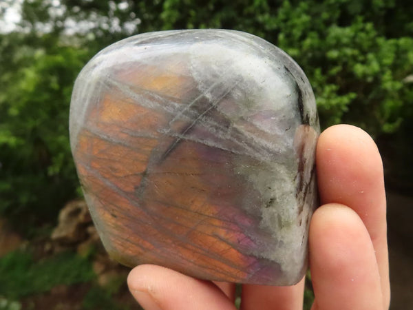 Polished Rare Purple Flash Labradorite Standing Free Forms  x 6 From Tulear, Madagascar - TopRock