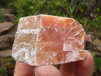 Natural New Sunset Orange Calcite Specimens  x 24 From Spitzkoppe, Namibia - Toprock Gemstones and Minerals 