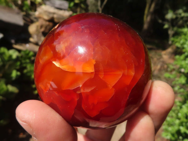 Polished Highly Selected Carnelian Agate Spheres  x 6 From Madagascar - Toprock Gemstones and Minerals 