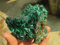 Natural Chatoyant Silky Malachite Specimens  x 3 From Kasompe, Congo - Toprock Gemstones and Minerals 