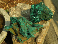Natural Chatoyant Silky Malachite Specimens  x 3 From Kasompe, Congo - Toprock Gemstones and Minerals 