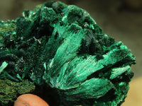 Natural Chatoyant Silky Malachite Specimens  x 3 From Kasompe, Congo - Toprock Gemstones and Minerals 