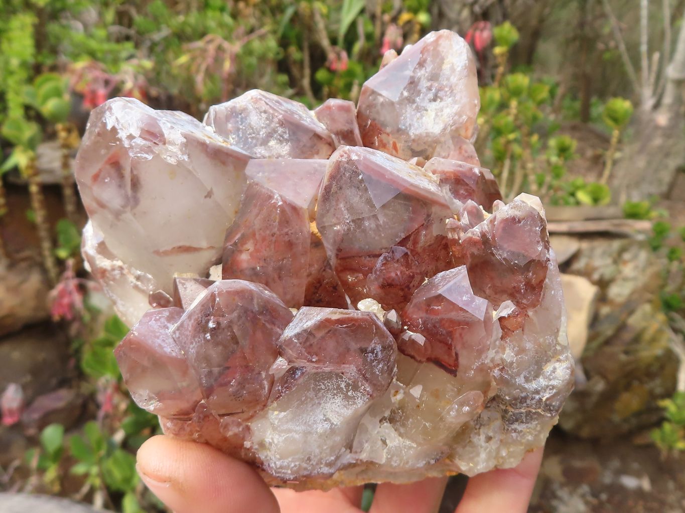 Natural Red Hematoid Quartz Clusters x 2 From Karoi, Zimbabwe - Toprock Gemstones and Minerals 
