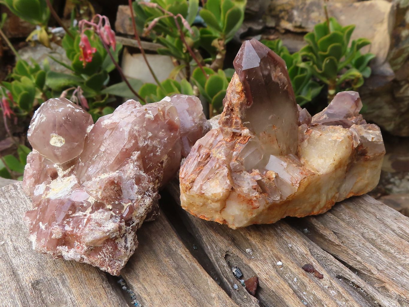 Natural Red Hematoid Quartz Clusters x 2 From Karoi, Zimbabwe - Toprock Gemstones and Minerals 