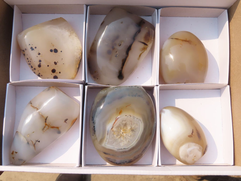 Polished Agate Standing Free Forms x 6 From Madagascar - Toprock Gemstones and Minerals 