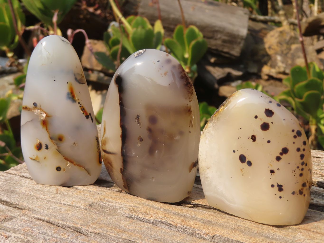 Polished Agate Standing Free Forms x 6 From Madagascar - Toprock Gemstones and Minerals 