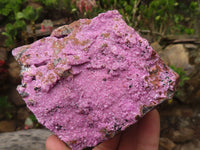 Natural Pink Salrose Cobaltion Dolomite Specimens  x 4 From Kakanda, Congo - Toprock Gemstones and Minerals 