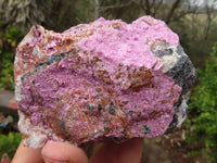 Natural Pink Salrose Cobaltion Dolomite Specimens  x 4 From Kakanda, Congo - Toprock Gemstones and Minerals 