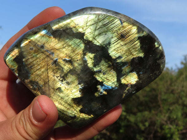 Polished Labradorite Standing Free Forms With Intense Blue & Gold Flash x 2 From Madagascar - TopRock