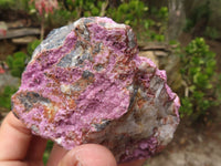 Natural Pink Salrose Cobaltion Dolomite Specimens  x 4 From Kakanda, Congo - Toprock Gemstones and Minerals 