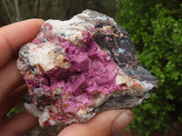 Natural Pink Salrose Cobaltion Dolomite Specimens  x 4 From Kakanda, Congo - Toprock Gemstones and Minerals 