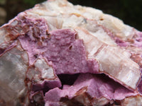Natural Pink Salrose Cobaltion Dolomite Specimens  x 4 From Kakanda, Congo - Toprock Gemstones and Minerals 
