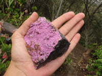 Natural Pink Salrose Cobaltion Dolomite Specimens  x 4 From Kakanda, Congo - Toprock Gemstones and Minerals 