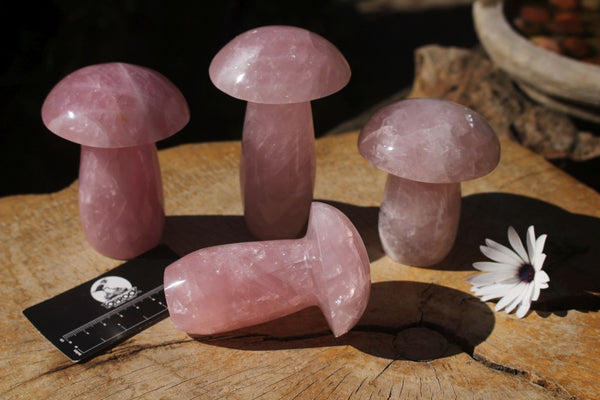 Polished Gorgeous Pink Rose Quartz Mushrooms x 4 From Madagascar - TopRock