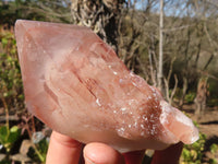 Natural Red Hematoid Phantom Quartz Specimens x 6 From Karoi, Zimbabwe - Toprock Gemstones and Minerals 