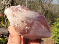 Natural Red Hematoid Phantom Quartz Specimens x 6 From Karoi, Zimbabwe - Toprock Gemstones and Minerals 