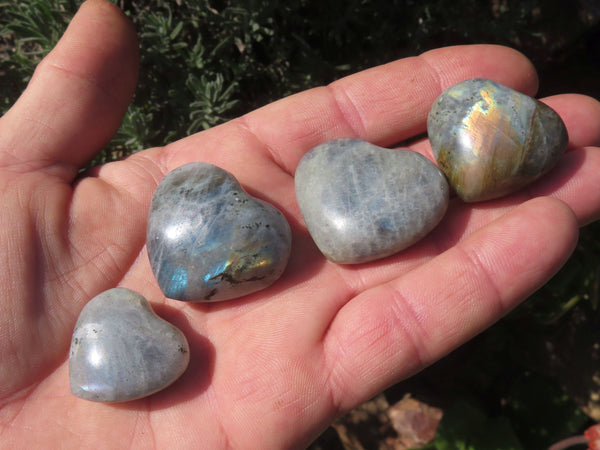 Polished Mini to Small Labradorite Hearts - sold per 500 g - From Madagascar - TopRock
