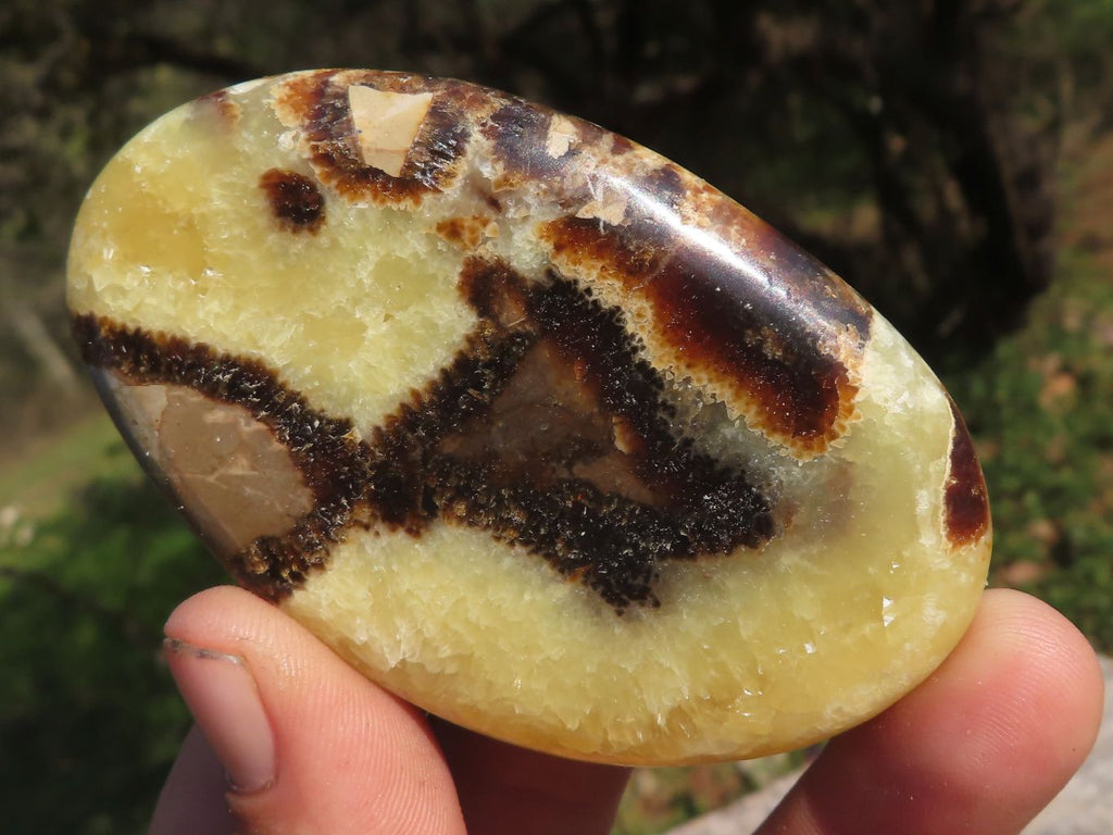 Polished Septerye (Aragonite & Calcite) Slices x 18 From Mahajanga, Madagascar - TopRock