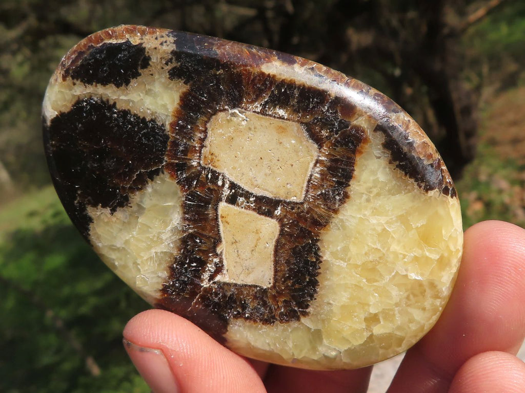 Polished Septerye (Aragonite & Calcite) Slices x 18 From Mahajanga, Madagascar - TopRock