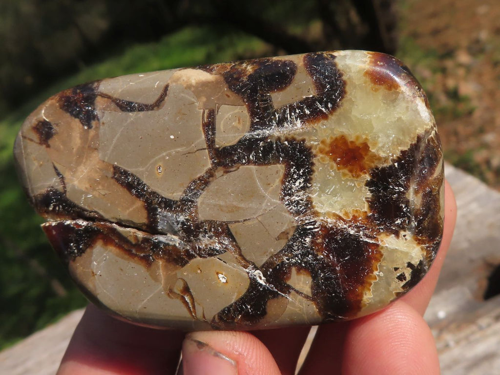 Polished Septerye (Aragonite & Calcite) Slices x 18 From Mahajanga, Madagascar - TopRock