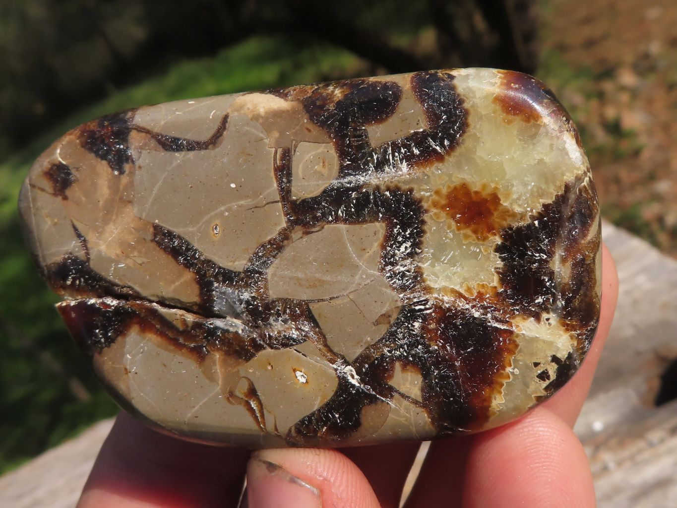 Polished Septerye (Aragonite & Calcite) Slices x 18 From Mahajanga, Madagascar - TopRock