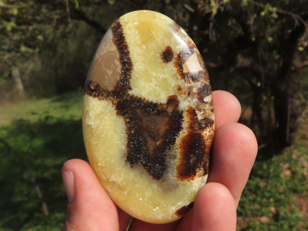 Polished Septerye (Aragonite & Calcite) Slices x 18 From Mahajanga, Madagascar - TopRock