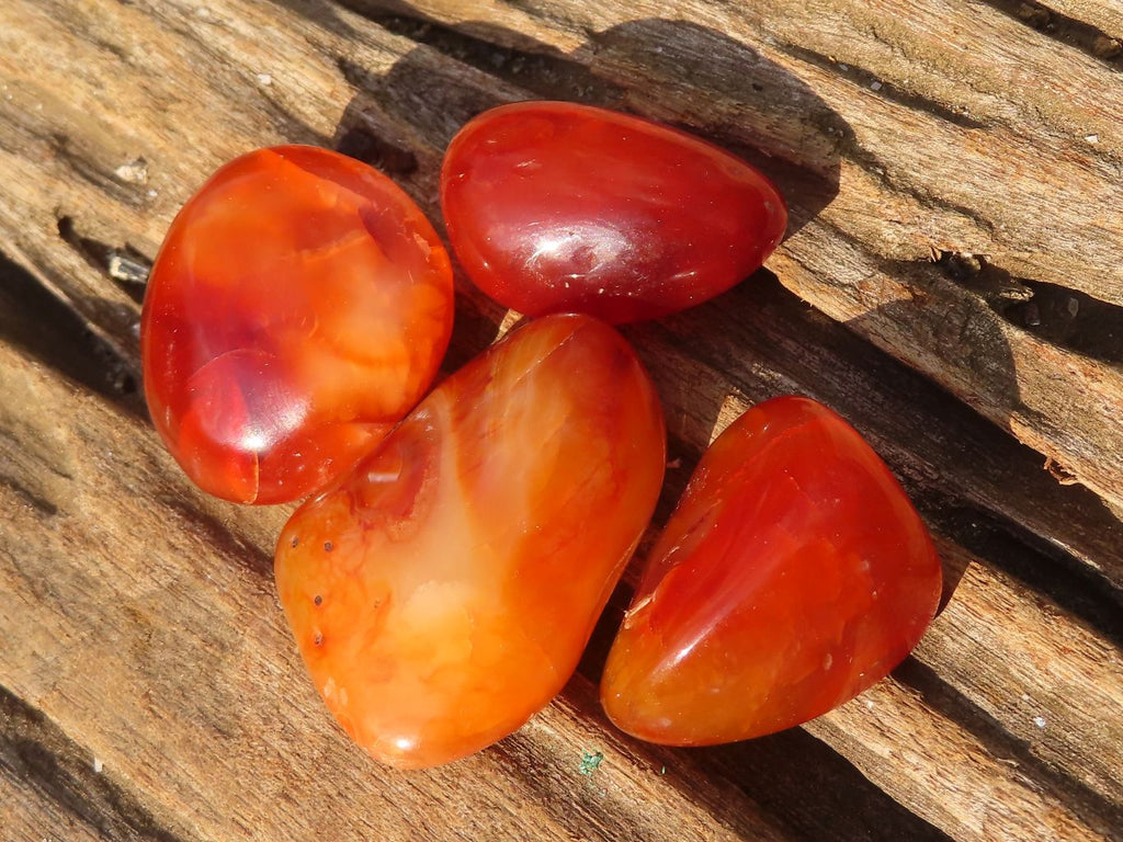 Polished  Carnelian Agate Tumble Stones  x 1 Kg Lot From Madagascar - Toprock Gemstones and Minerals 