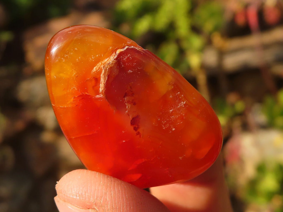 Polished  Carnelian Agate Tumble Stones  x 1 Kg Lot From Madagascar - Toprock Gemstones and Minerals 
