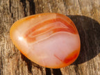 Polished  Carnelian Agate Tumble Stones  x 1 Kg Lot From Madagascar - Toprock Gemstones and Minerals 