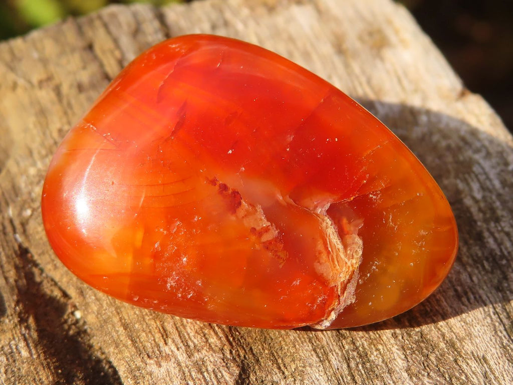 Polished  Carnelian Agate Tumble Stones  x 1 Kg Lot From Madagascar - Toprock Gemstones and Minerals 